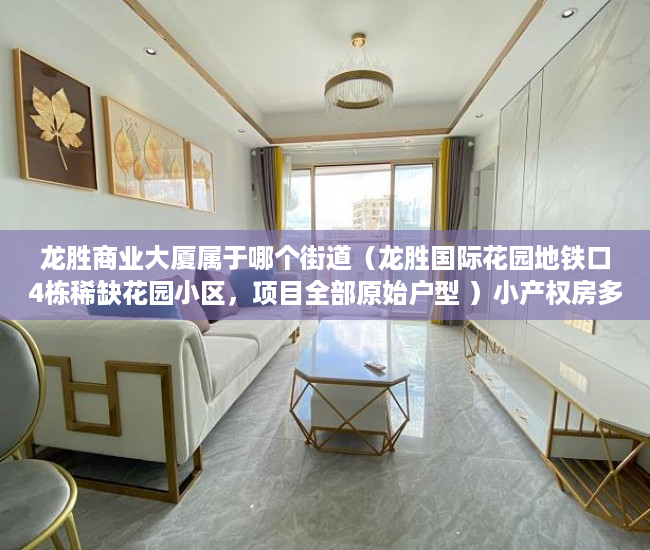 龙胜商业大厦属于哪个街道（龙胜国际花园地铁口4栋稀缺花园小区，项目全部原始户型 ）小产权房多久拆迁，