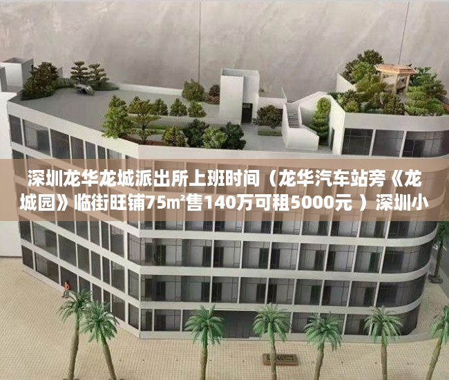 深圳龙华龙城派出所上班时间（龙华汽车站旁《龙城园》临街旺铺75㎡售140万可租5000元 ）深圳小产权房学位锁定多久，
