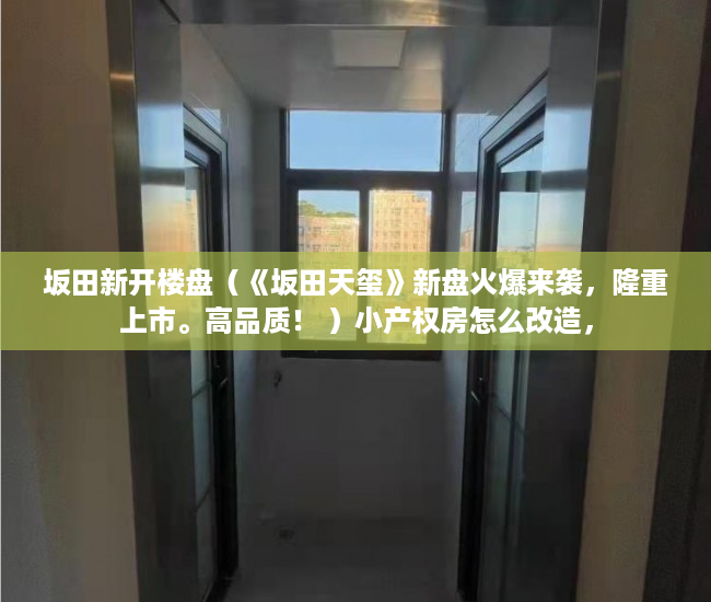 坂田新开楼盘（《坂田天玺》新盘火爆来袭，隆重上市。高品质！ ）小产权房怎么改造，