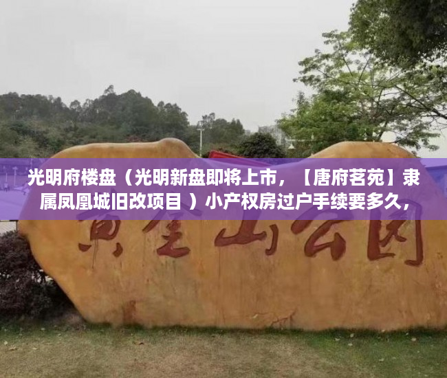 光明府楼盘（光明新盘即将上市，【唐府茗苑】隶属凤凰城旧改项目 ）小产权房过户手续要多久，
