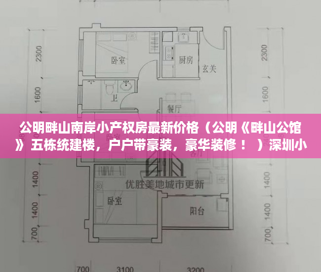 公明畔山南岸小产权房最新价格（公明《畔山公馆》 五栋统建楼，户户带豪装，豪华装修 ！ ）深圳小产权多久可以卖，