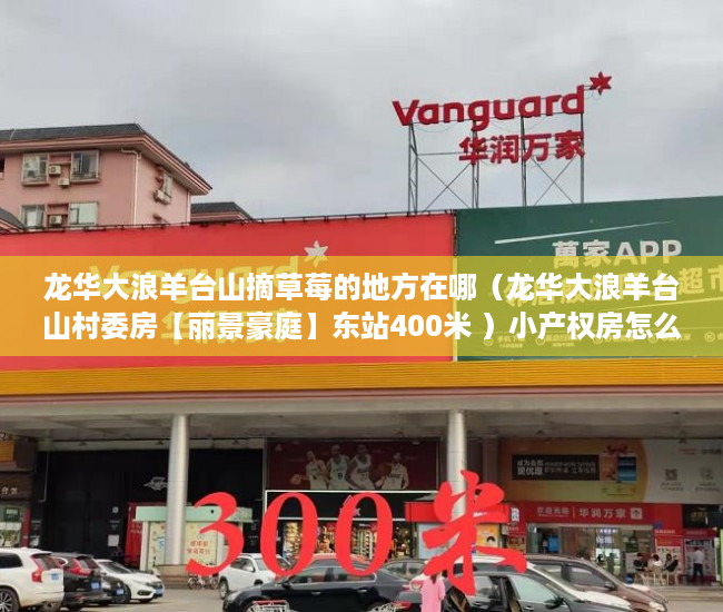 龙华大浪羊台山摘草莓的地方在哪（龙华大浪羊台山村委房【丽景豪庭】东站400米 ）小产权房怎么过户，
