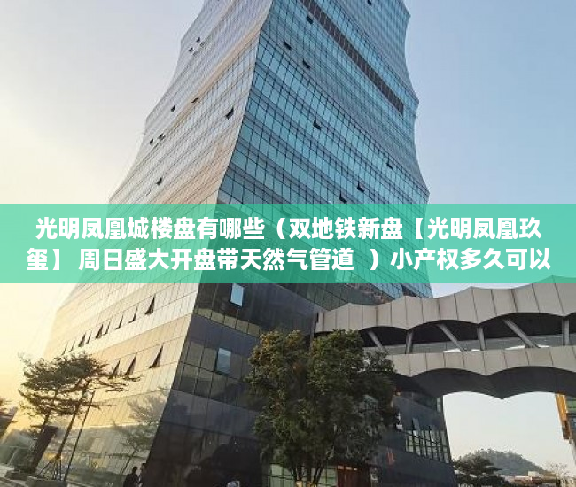 光明凤凰城楼盘有哪些（双地铁新盘【光明凤凰玖玺】 周日盛大开盘带天然气管道  ）小产权多久可以出售，