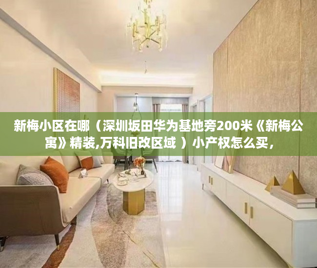 新梅小区在哪（深圳坂田华为基地旁200米《新梅公寓》精装,万科旧改区域 ）小产权怎么买，