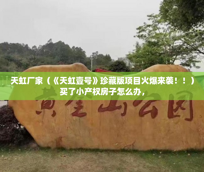 天虹厂家（《天虹壹号》珍藏版项目火爆来袭！！）买了小产权房子怎么办，