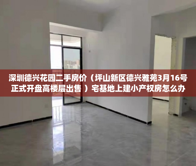 深圳德兴花园二手房价（坪山新区德兴雅苑3月16号正式开盘高楼层出售 ）宅基地上建小产权房怎么办，