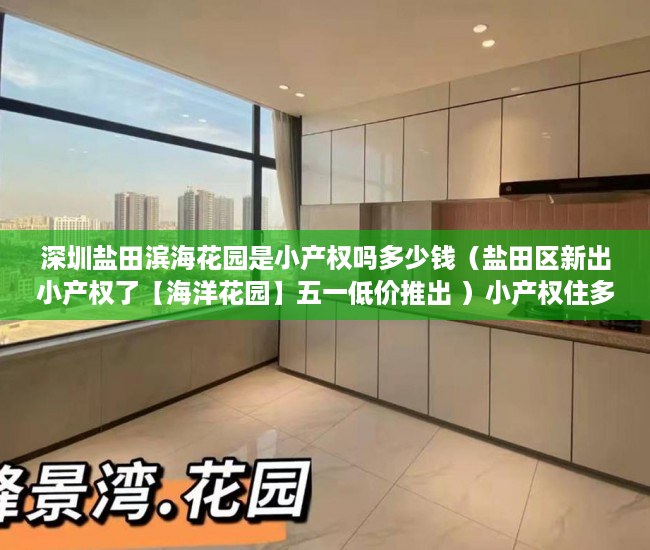 深圳盐田滨海花园是小产权吗多少钱（盐田区新出小产权了【海洋花园】五一低价推出 ）小产权住多久，