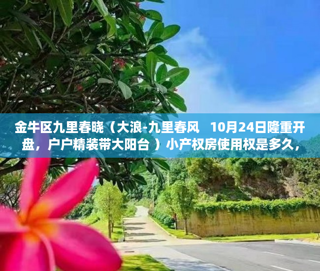 金牛区九里春晓（大浪-九里春风   10月24日隆重开盘，户户精装带大阳台 ）小产权房使用权是多久，