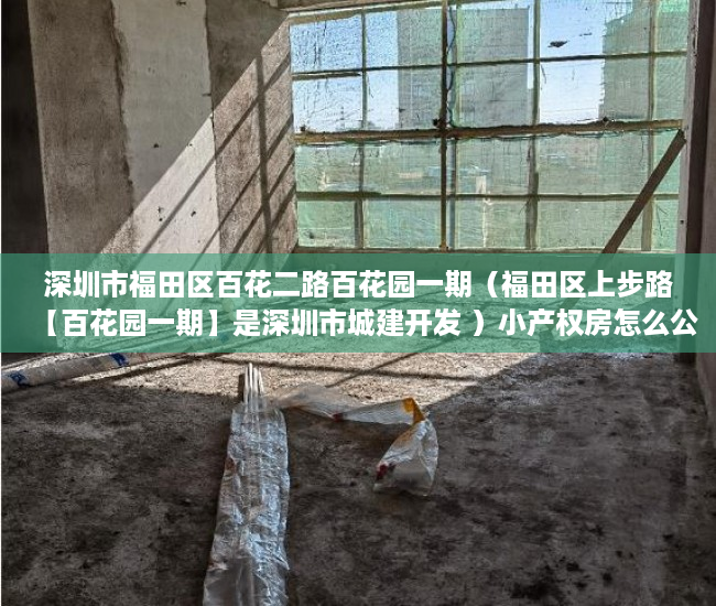 深圳市福田区百花二路百花园一期（福田区上步路【百花园一期】是深圳市城建开发 ）小产权房怎么公正，